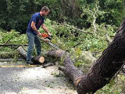 Best Fruit Tree Pruning  in Heritage Hills, NY